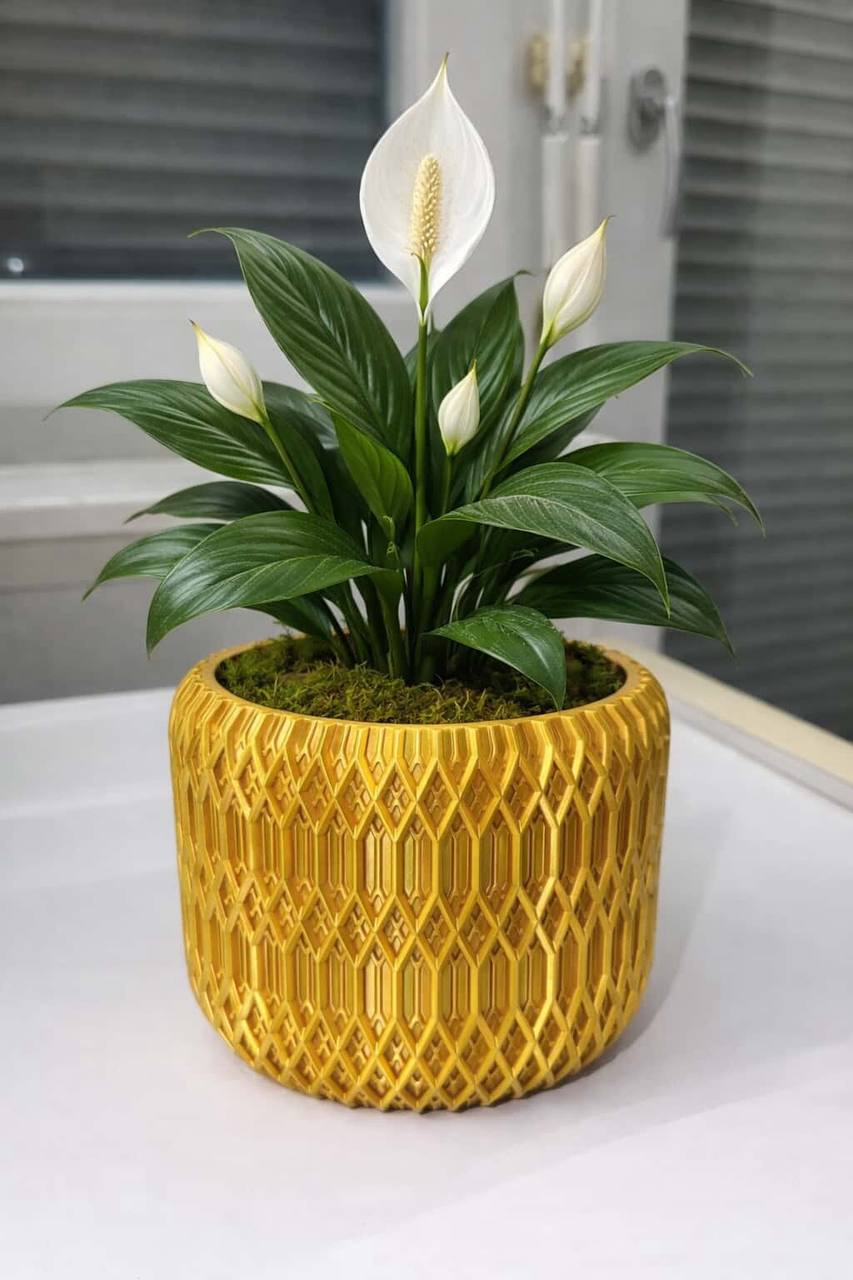 Luxuriöser Übertopf